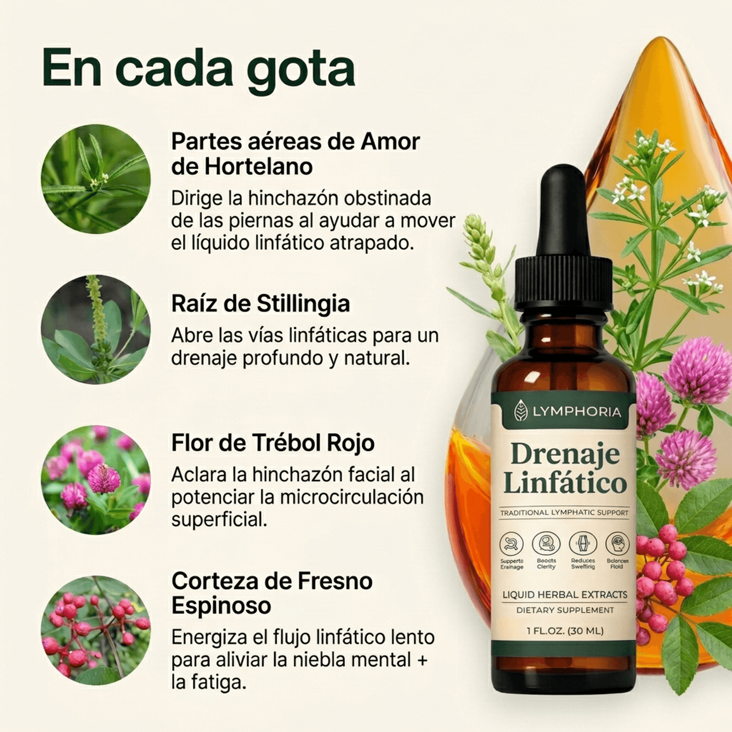 Lymphoria – Reduce Hinchazón y Activa tu Sistema Linfático